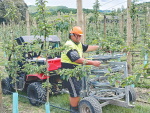 Wairoa iwi is moving into high-production horticulture.