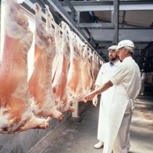 $21m tallow to bio-diesel plant