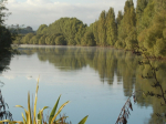 Waikato Regional Council’s Plan Change 1 &quot;Healthy Rivers&quot; plan was always going to be controversial.