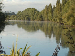 Waikato Regional Council’s Plan Change 1 &quot;Healthy Rivers&quot; plan was always going to be controversial.