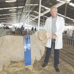 Robbie Gibson with a winning merino ram