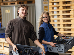 At Clos Henri, Celestin Minchin, son of a winegrower in Menetou-Salon Loire in France, and Sally Waitland, a permanent cellar hand from the United Kingdom.