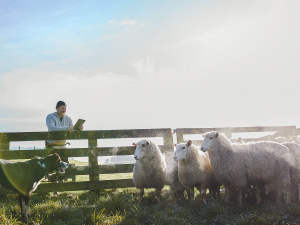 Farmer confidence is at an all-time low according to the Federated Farmers Farmer Confidence Survey. Photo Credit: Paul Sutherland Photography.