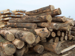 News of plans to upgrade New Zealand’s free trade agreement with China should open trade doors for more timber exports to China.