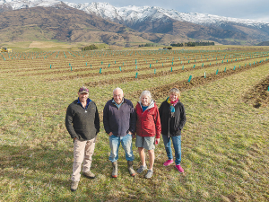 Mt Pisa Station’s landowners, the MacMillan family, are also investors in a $15.5 million cherry projet on their property by horticultural investment firm Hortinvest.