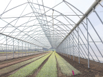 LeaderBrand has invested in a 10.7ha greenhouse operation in Gisborne.