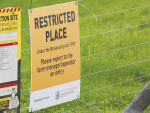 A mid-Canterbury dairy farm has been confirmed infected with Mycoplasma bovis this week.