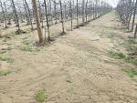 Tasman farmers and orchardists struggling with flood recovery and mental health pressures