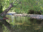 Farming leaders are committed to New Zealand’s rivers being swimmable for our children and grandchildren.