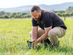A research team led by PhD candidate Eru Tait-Jamieson, analysed daily climate records from 1940 to 2024.