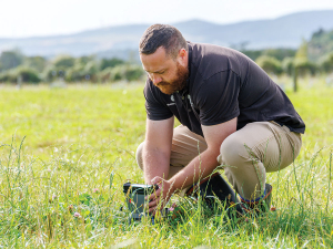 Climate Change Is Reshaping New Zealand Pasture Growth, Study Finds
