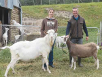 Dairy goat farmers Chrissy and Jonathan Carden-Holdstock with two of their champion animals, Clovenhoof Flavious, a Saanen buck, and Tamarvale Jaylee, a Toggenburg doe.