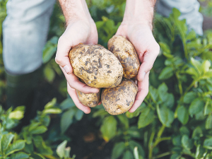 Potato growers are excited about the many opportunities that lie ahead.