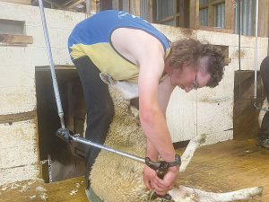 Record applications spur call for more farm trainers