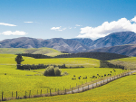 Environment Southland has announced they will be working towards a net zero carbon target.