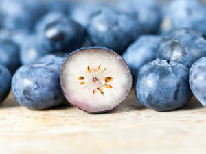 The main blueberry season is now getting underway.