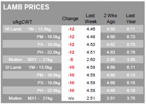 LAMB | Prices head lower after Easter trade