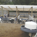 Standalone shed helps to expand calf operation