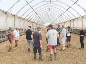 DairyNZ dicussion group members at Rod Agar’s farm in Horowhenua.