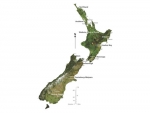 Just what will the priorities be for New Zealand’s GIs? That will be the question asked of members by NZW later this year.