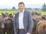 Beef + Lamb New Zealand chief executive Sam McIvor.
