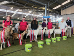 The Canterbury A&amp;P Show is returning to its original three-day format.