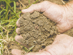 NZ-designed testing method unlocks healthy soil