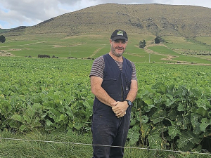Federated Farmers calls to strip Greenpeace charity status