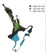 Hardy ticks well-equipped to survive, thrive