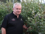 Dermott Malley believes blueberries have the potential to become a major export, earning up to $150 million within the next three to five years.