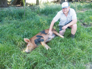 Darfield farmer James Davidson hopes Pablo Escoboar will help his Selwyn Swine Breeders Syndicate topple the Bhuja Boar Breeders at this year’s Canterbury A&amp;P Show. 