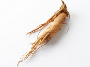 $40,000 MPI funding to get high value ginseng exporting