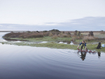 Fonterra hopes the project will help farmers adopt biodiversity objectives into their Farm Environmental Plans and support wider catchment biodiversity goals in the process.