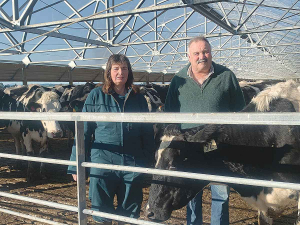 Stephen and Judith Ray on their farm.