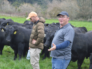 Virtual fencing boosts grazing efficiency at Rotorua’s Stokman Angus