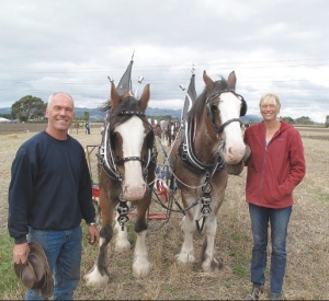 No double-Dutch in couple’s horse ploughing dreams