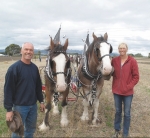 No double-Dutch in couple’s horse ploughing dreams