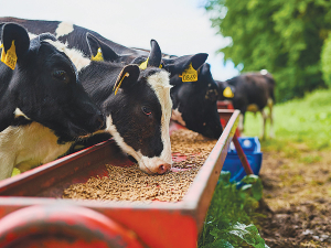 Reducing your herd size and cutting out supplementary feed may not be the best option and could affect the profitability of some farm businesses over the next few years.