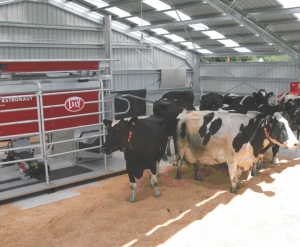 Show presents NZ’s first ‘live’ milking