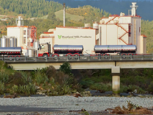 Westland says damage caused by ex-Tropical Cyclone Fehi has halted production at its Hokitika plant.