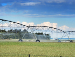The scheme aims to irrigate 12,000ha of the Waimate District.