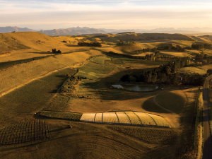 Pyramid Valley. Photo Richard Briner.