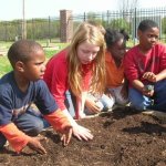 Garden grants for schools  