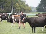 Manawatu farmer Richard McIntyre.