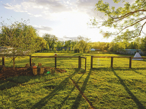 Farming systems influence the quality of soil, food and human health.