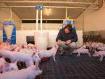 NZPork says the Government's proposal to exclude pig farming from agricultural emissions pricing is pragmatic and sensible.