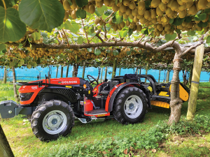 The 2080BB “Kiwifruit Special” version offers a low comfortable seat height for operators.