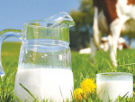 Analysts say the recent outbreak of Omicron in China is behind the recent drop in dairy prices.