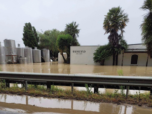Radburnd Cellars has opted not to undertake vintage 2023 in the aftermath of Cyclone Gabrielle.