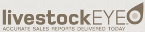 SALEYARD REPORT | Temuka store and prime sheep sale
